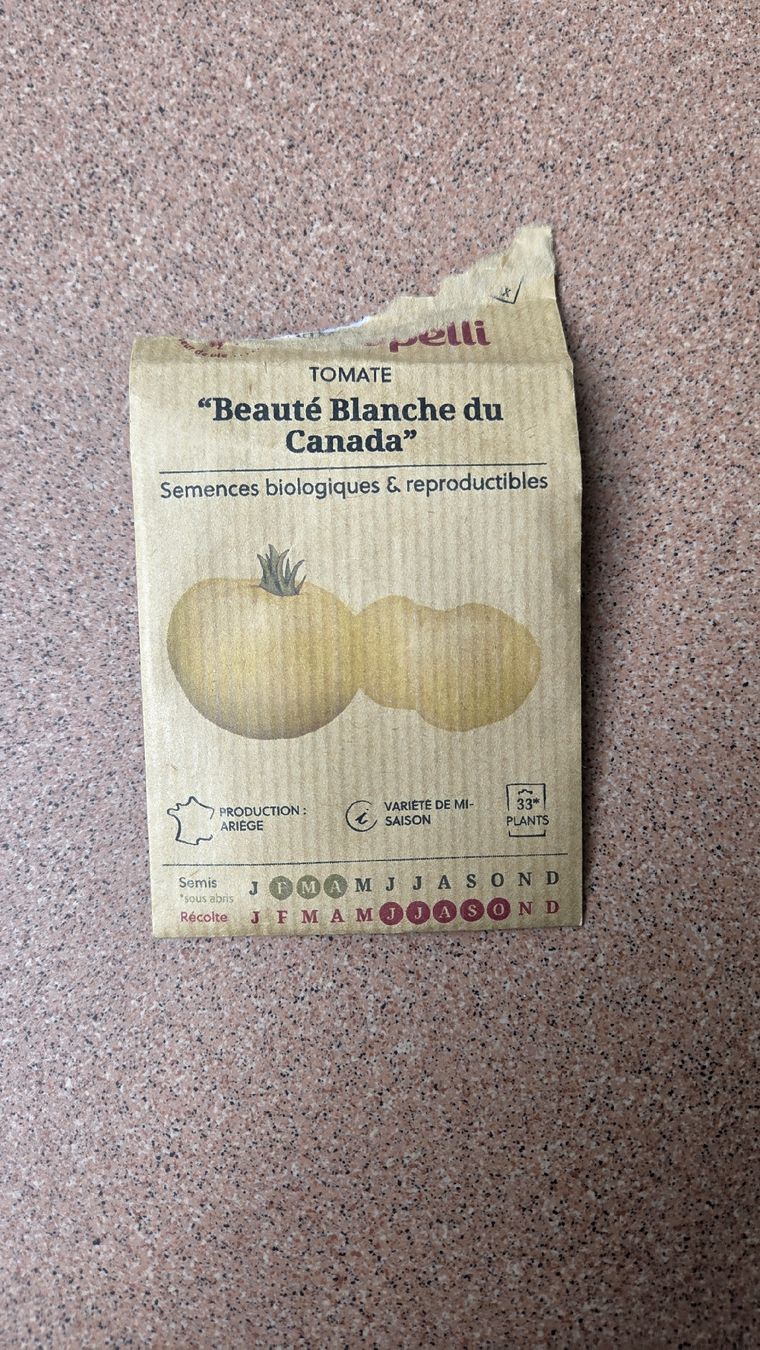Piante & sementi: Tomaten Setzling  – Usato da Oberwil (Dägerlen) venduto da Green_lady 1