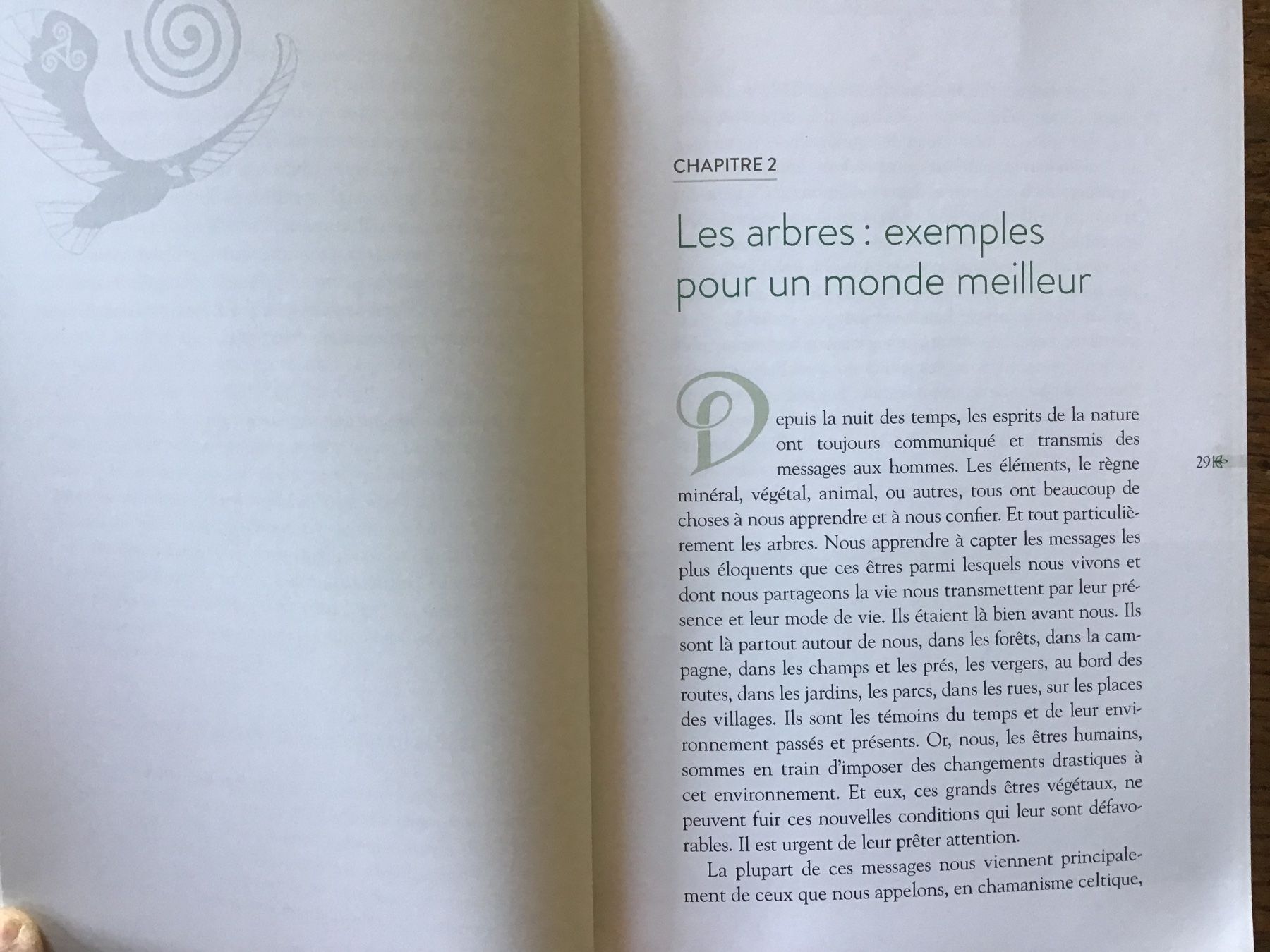 Livres: Chamanisme celtique, ces arbres nos maîtres – D'occasion à Fully par Ruby97 4