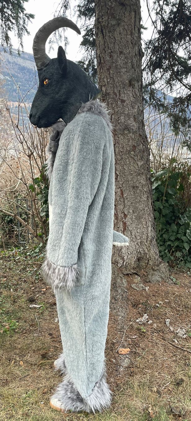 Costumi: Steinbock-Kostüm Grau – Nuovo (secondo la descrizione) da Chur venduto da elifor 2