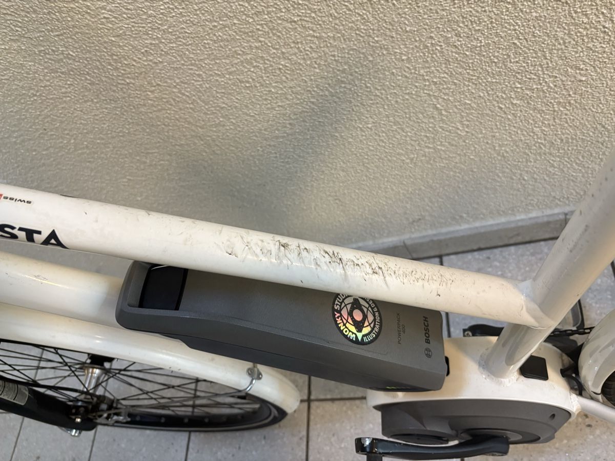 Biciclette: Cresta E-Bike – Usato da Zürich venduto da Menikm 2