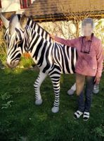 Zebra Figur lebensgroß – Gartendeko mit Safari-Flair