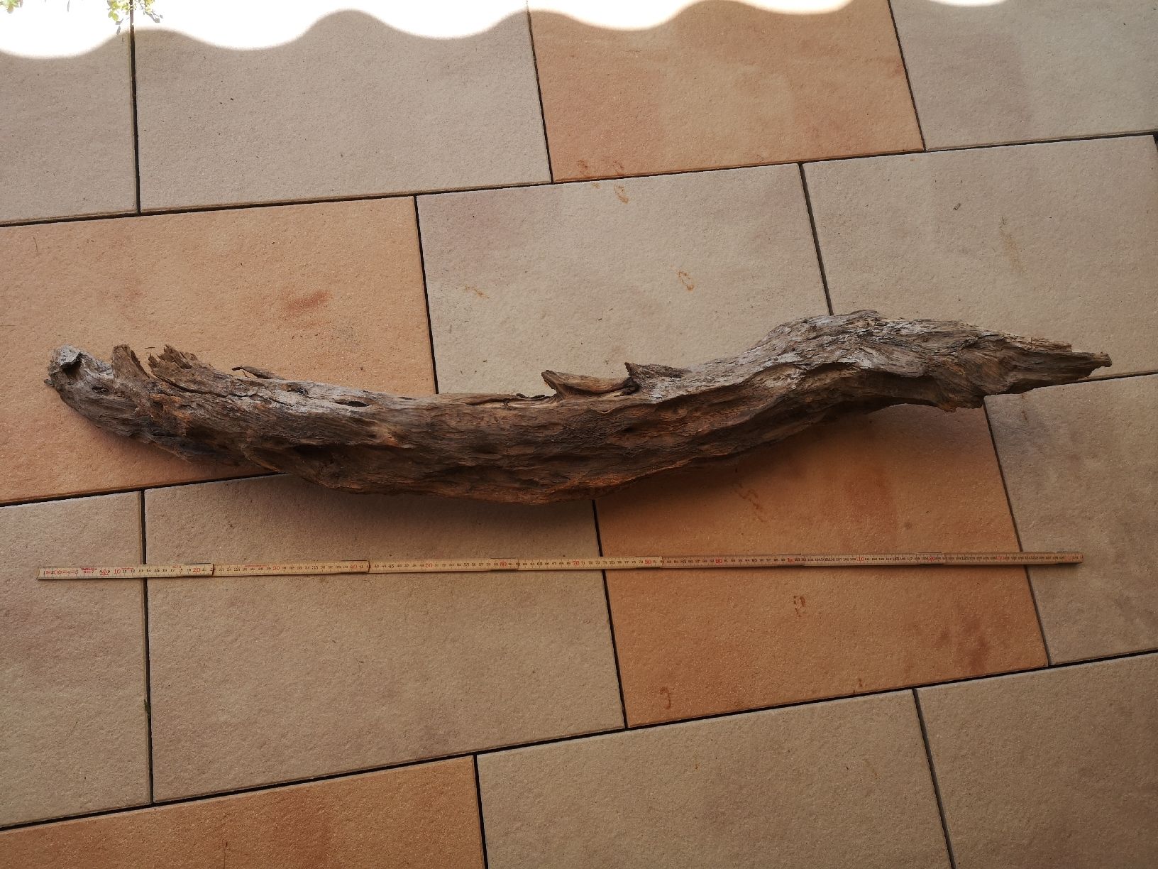 Articoli in legno: Schwemmholz sehr gross – Nuovo (secondo la descrizione) da Vordemwald venduto da Esel04 1
