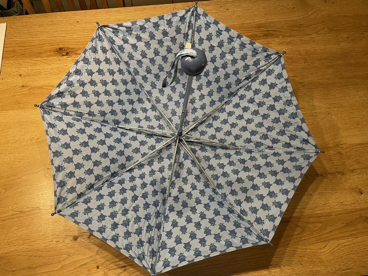 Altro per bambini: Kinder Regenschirm – Usato da Zürich venduto da piervier4 5