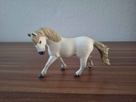 Camargue Hengst Safari ltd. Antiquariat