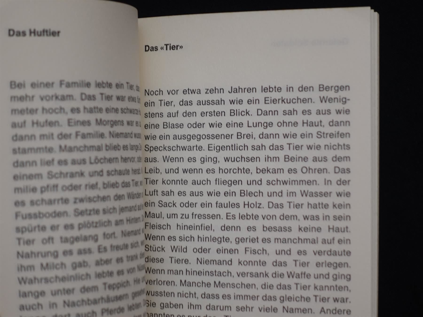 Libri: Jürg Schubiger - Franz Hohler – Usato da Gutenswil venduto da Optico 6