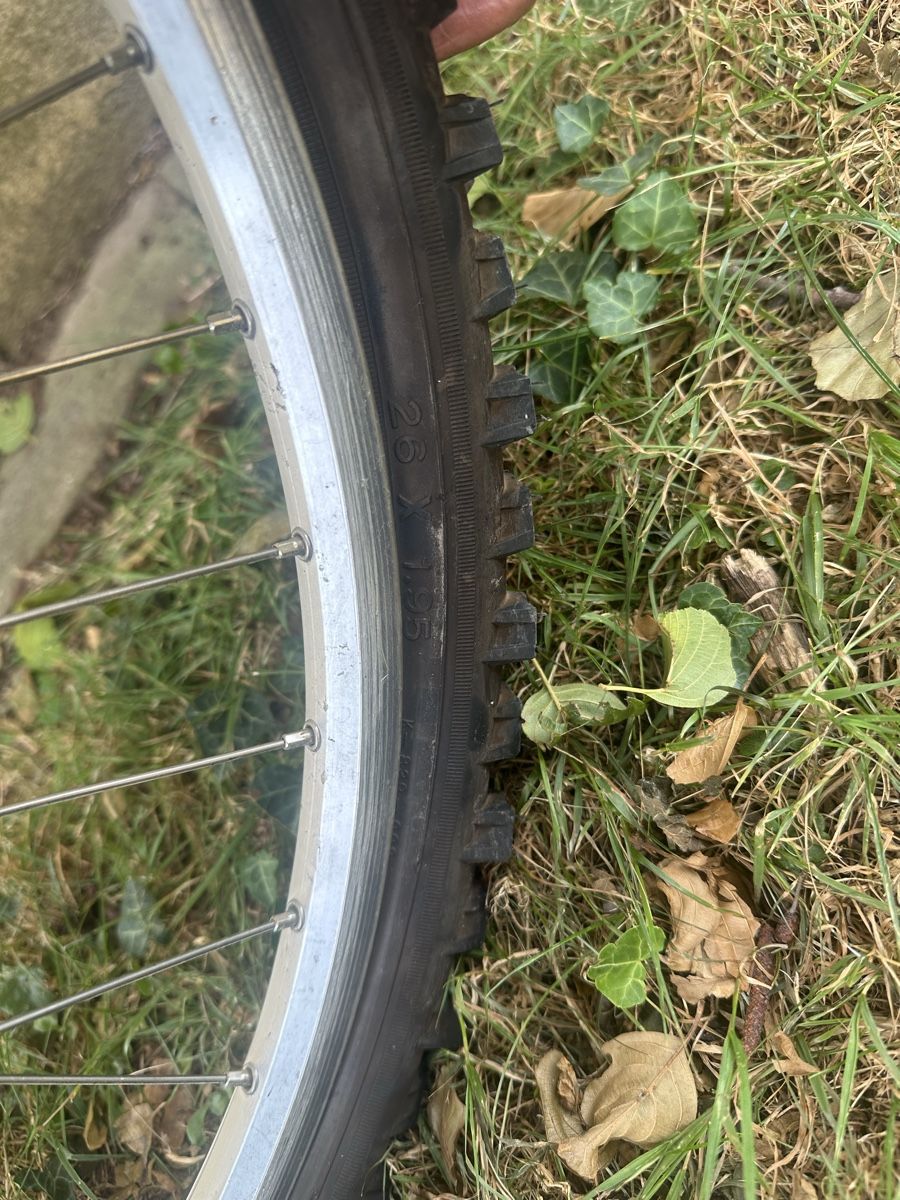 Velos: Schauff Velo  – Gebraucht aus Uster von bek_v2ct 3