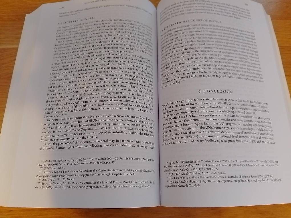 Libri: International Human Rights Law – Usato da Dänikon ZH venduto da spr_rqw2 2