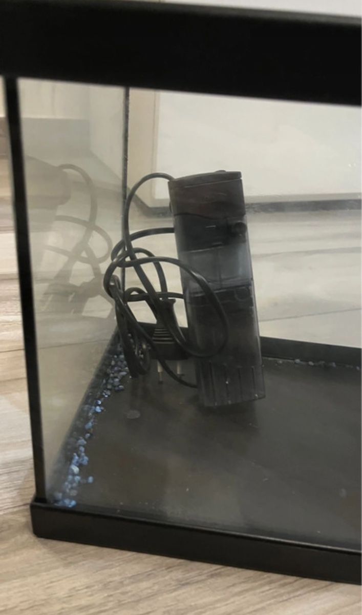 Aquarium: Teca per pesci  – D'occasion à Sagno par pat_rfp8 2