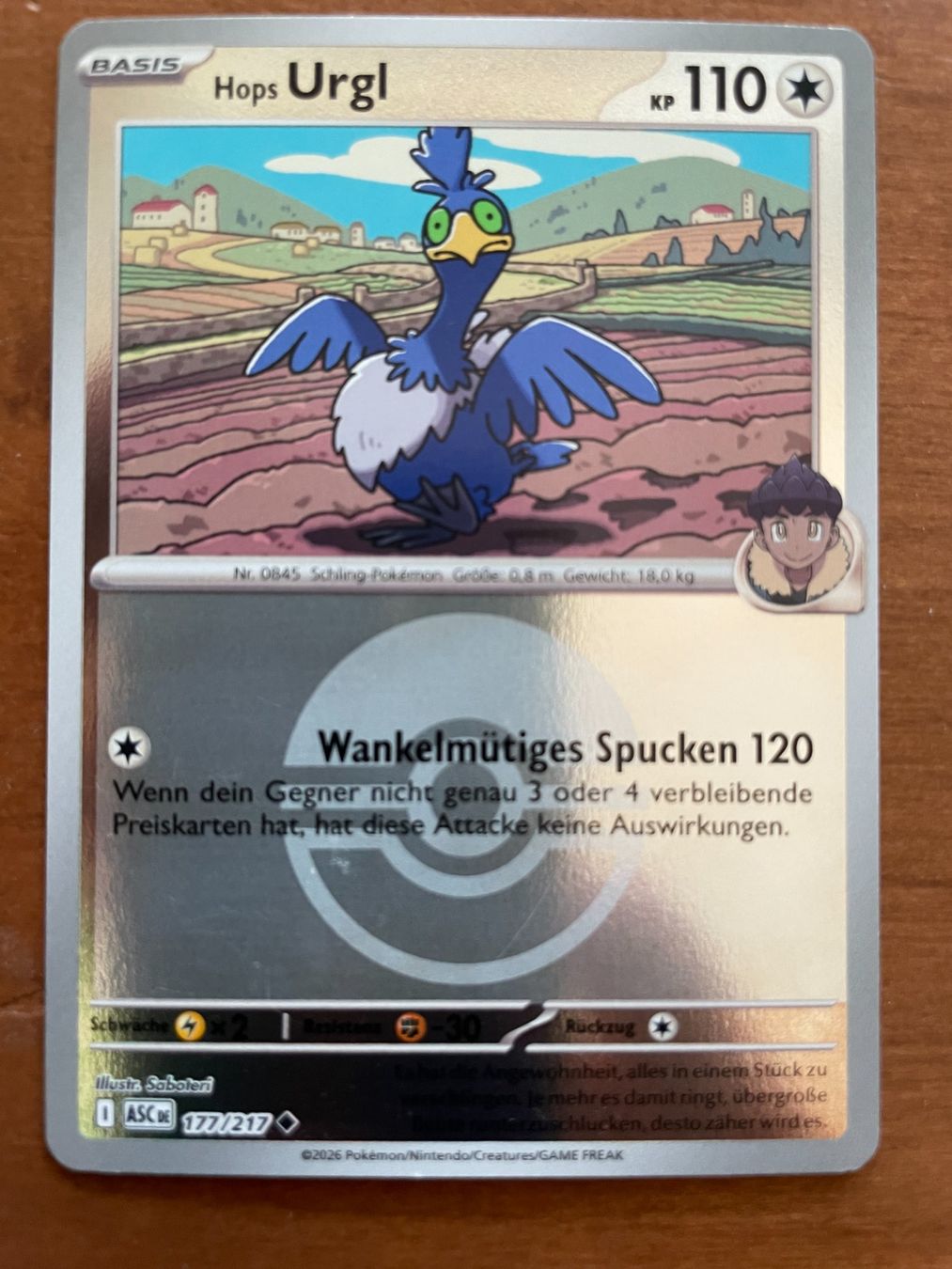 Pokémon Carte collezionabili: Pokemon Hops Urgl Reverse (Versand gratis) – Nuovo (secondo la descrizione) da Chur venduto da Angerson