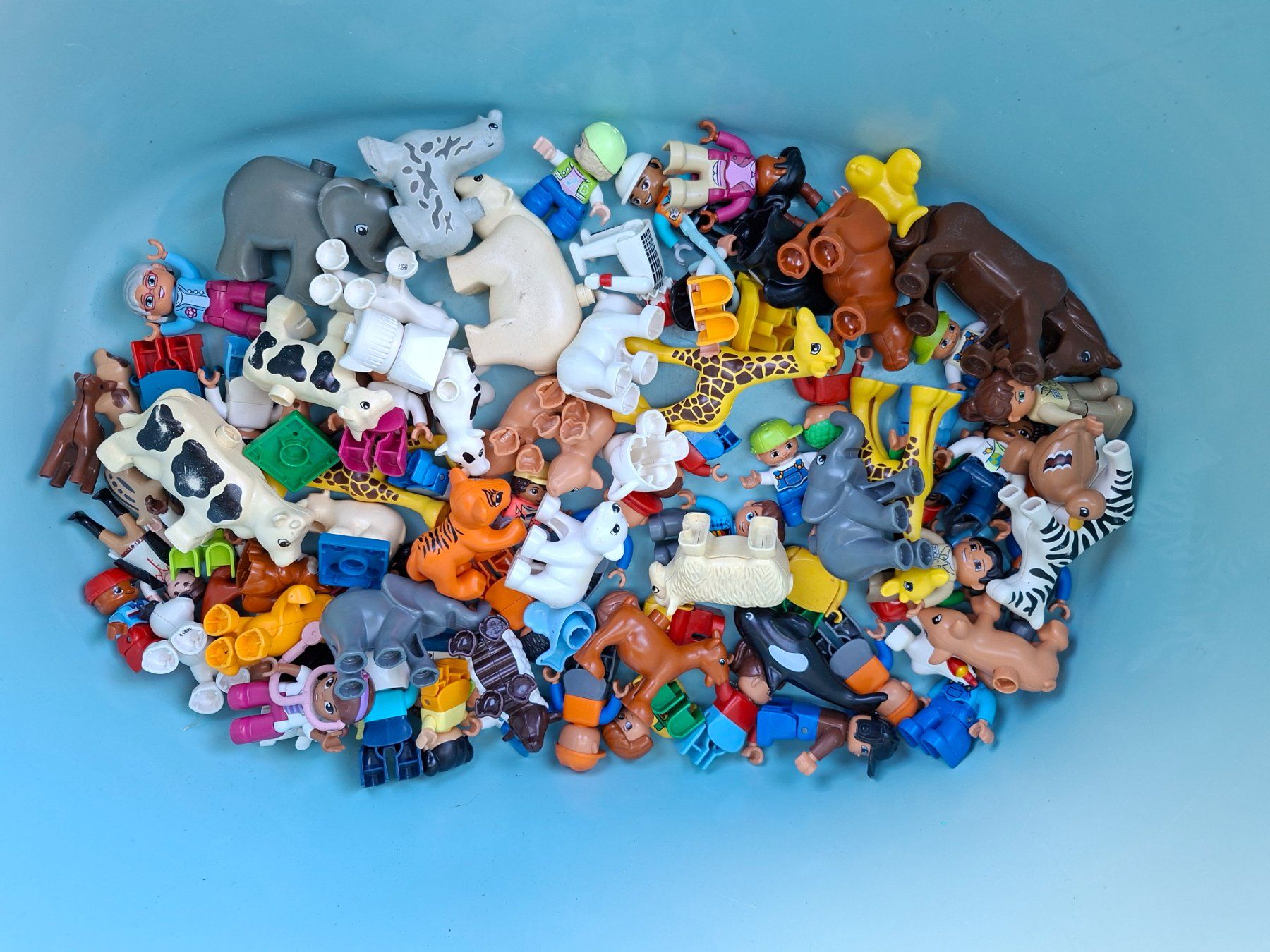 Lego Giocattoli: lego duplo – Usato da Nuglar venduto da ribery1989 7