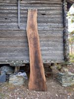 Magnifique bille de noyer valaisan, étuvé et sec (> 6 ans)
