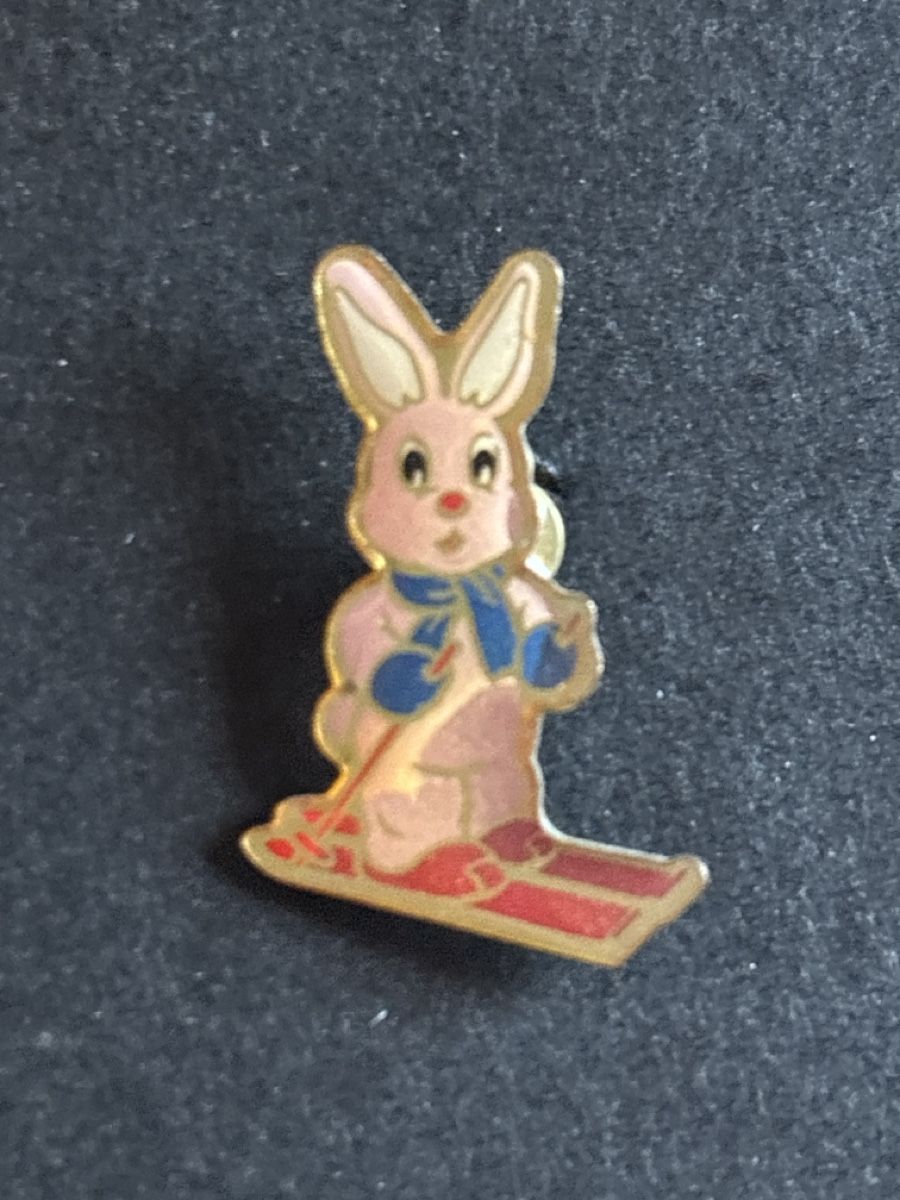 Placchette & Badge: Pin Duracell Hase Batterie – Usato da Lützelflüh-Goldbach venduto da NicoleL.