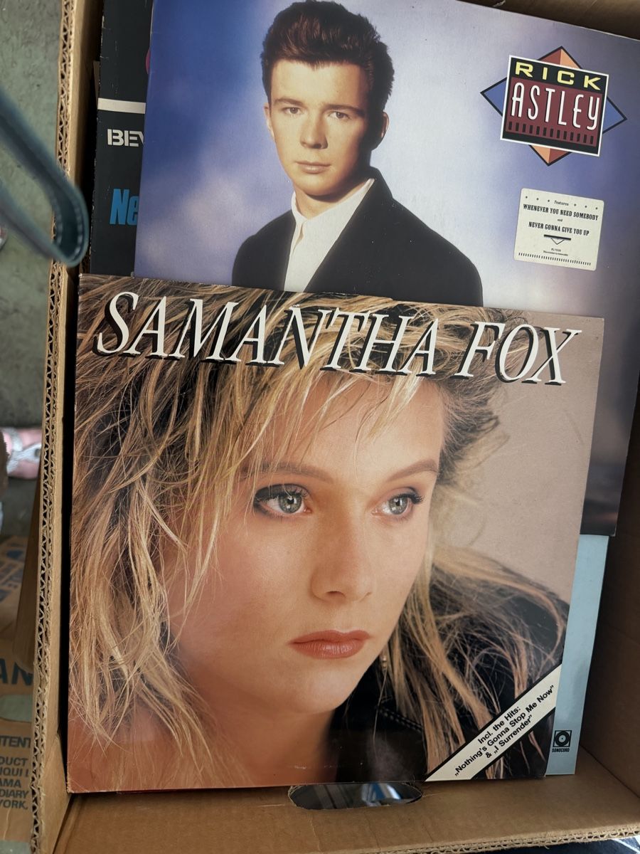 Vinyles: Samantha Fox & Rick Astley LP – D'occasion à Erlinsbach SO par Pilia