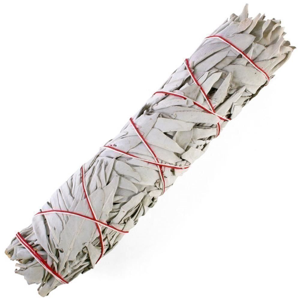 Piante & sementi: Sauge Blanche RARE  15g – Nuovo (secondo la descrizione) da Bremblens venduto da FIBONACCI369 2