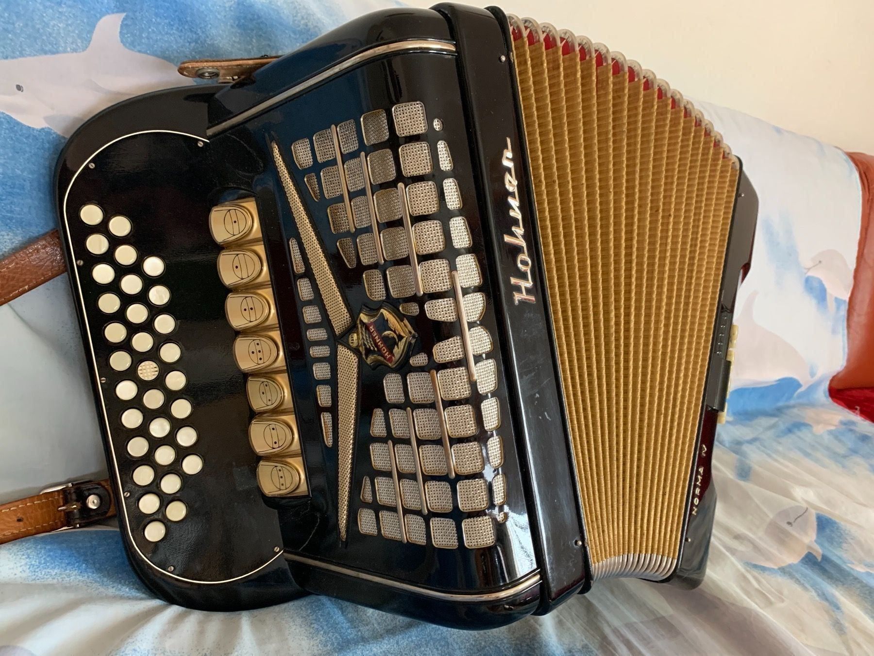 Hohner Strumenti musicali: Diatonisch Akkordeon – Usato da Zürich venduto da Olimpied 2