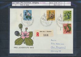 1973 Pro Juventute, Jahrgang mit Tabs, FDC, R - Brief