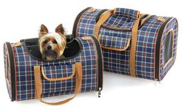 Swisspet: Hundetragetasche & Katzentragetasche Bristol - NEU
