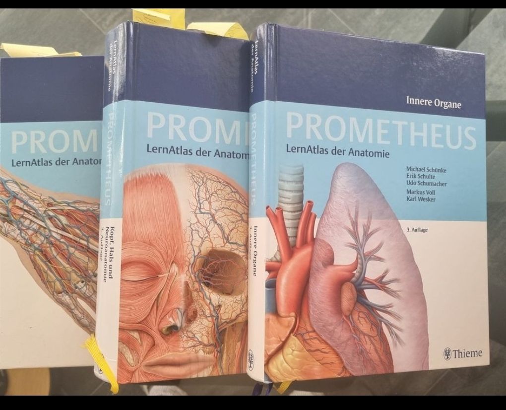 Livres: Prometheus Lernatlas der Anatomie 3. Auflage – D'occasion à Lausen par ramonaa.h