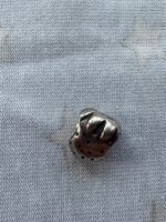 Pandora Charm Erdbeere