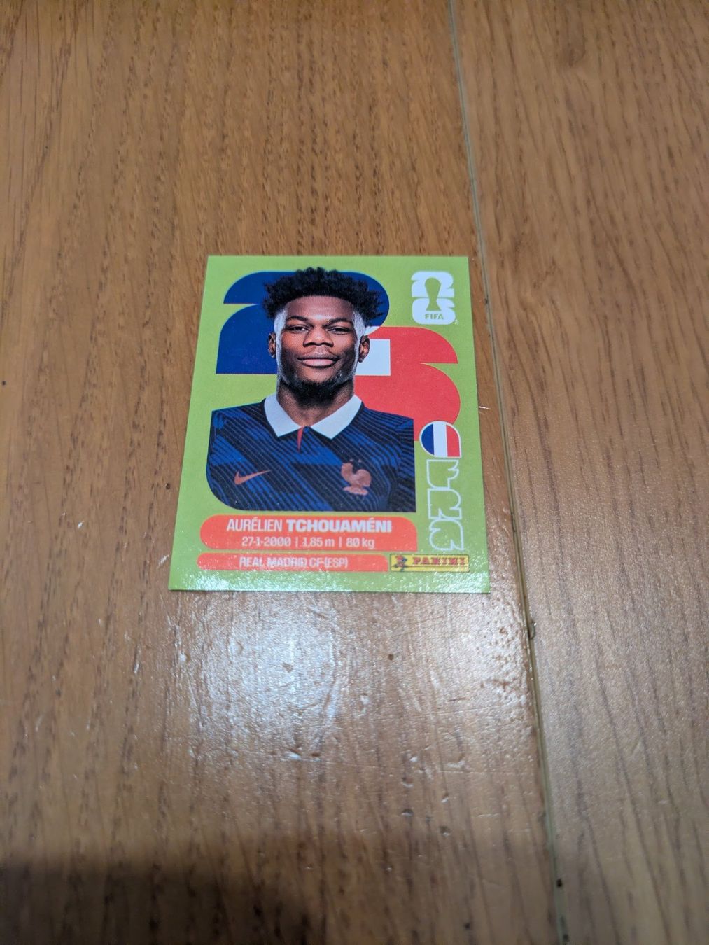 Panini Carte collezionabili: Panini FRA9 – Usato da Liestal venduto da Greg99