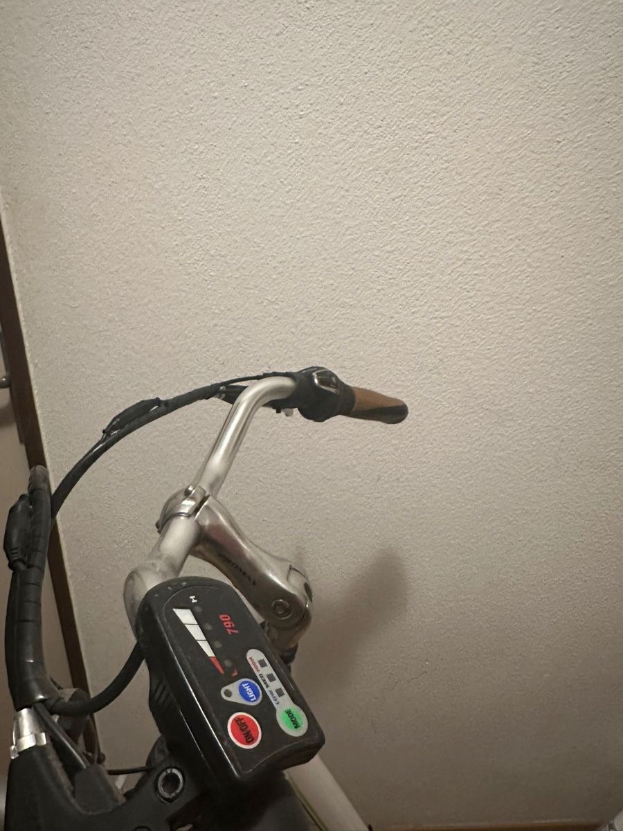 Biciclette: ELEKTRO Velo Bitte Lesen!!!  – Difettoso da Brugg AG venduto da ToniMontana95 2