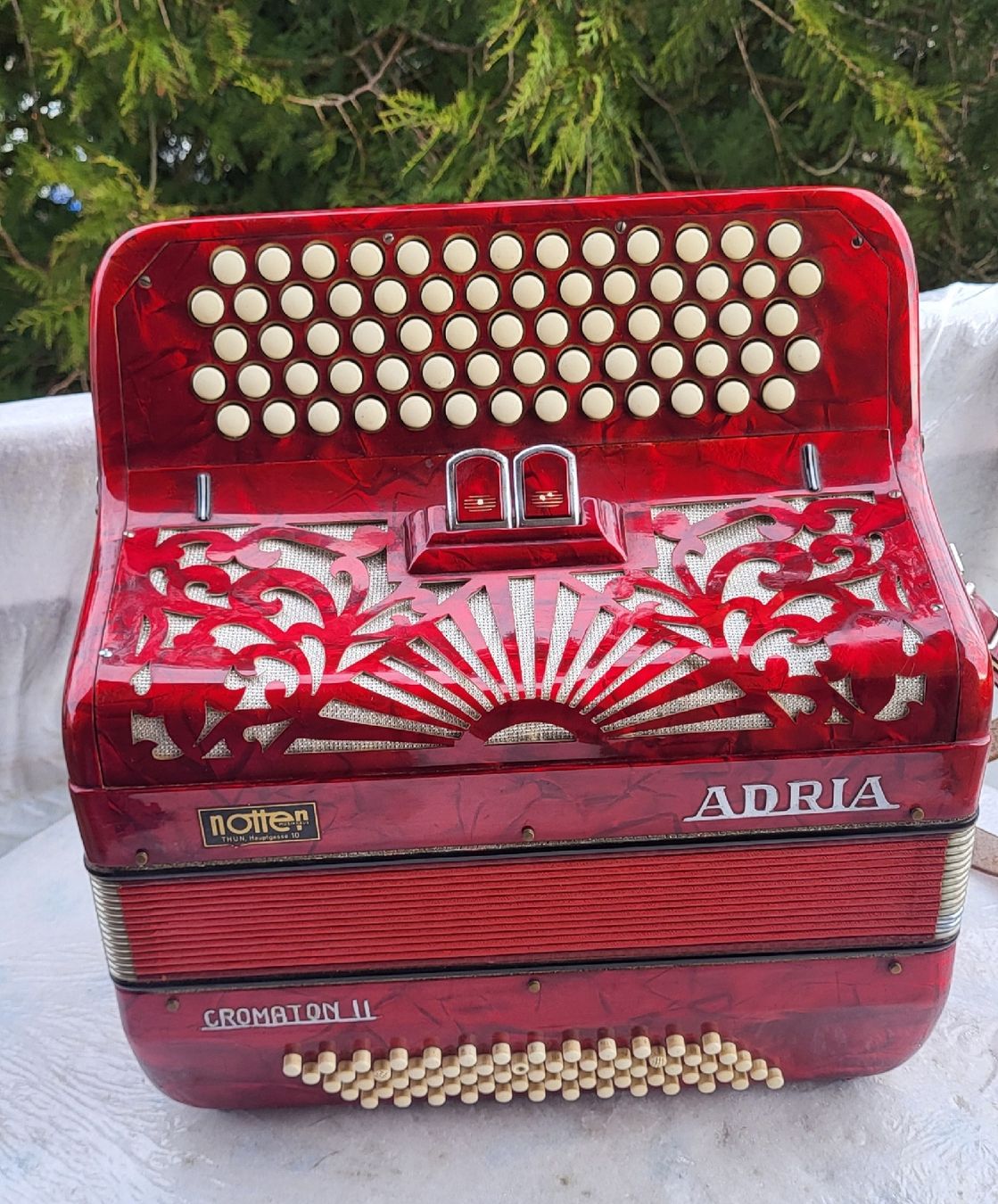 Strumenti musicali: Accordéon Adria Itália – Usato da Penthalaz venduto da EvandroLuz