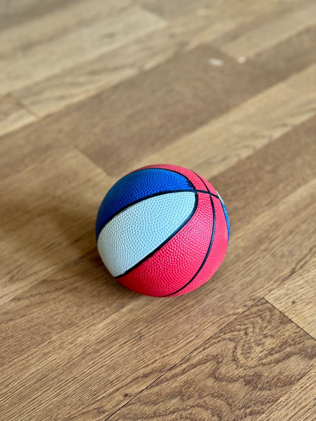 Bälle: Mini Basketball – Gebraucht aus Riehen von lor_d5w8