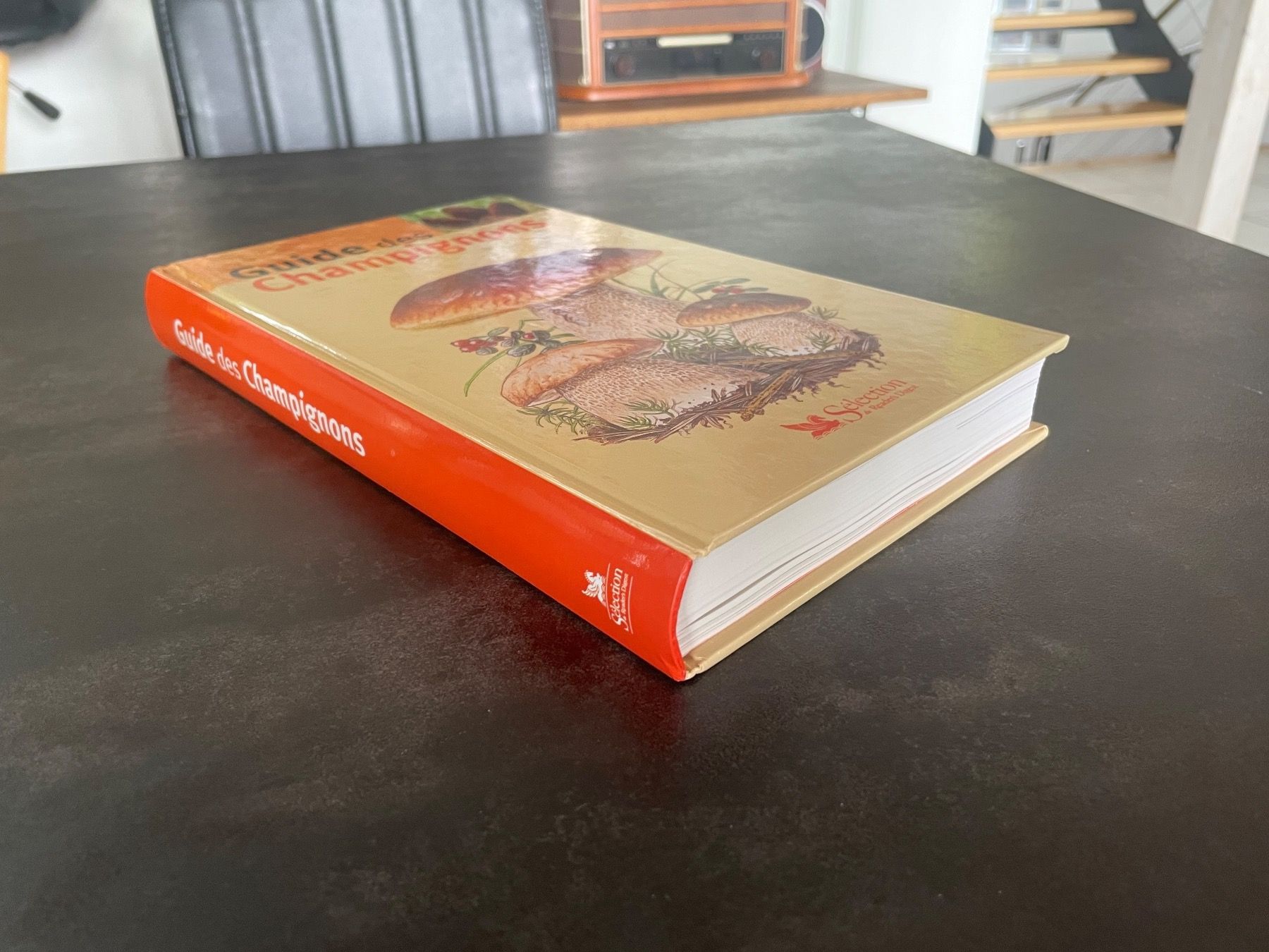 Libri: Livre Guide des Champignons – Usato da Vallamand venduto da Bricbracbroc82 1