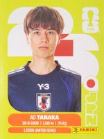 Panini FIFA World Cup JPN 10