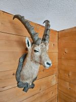Steinbock