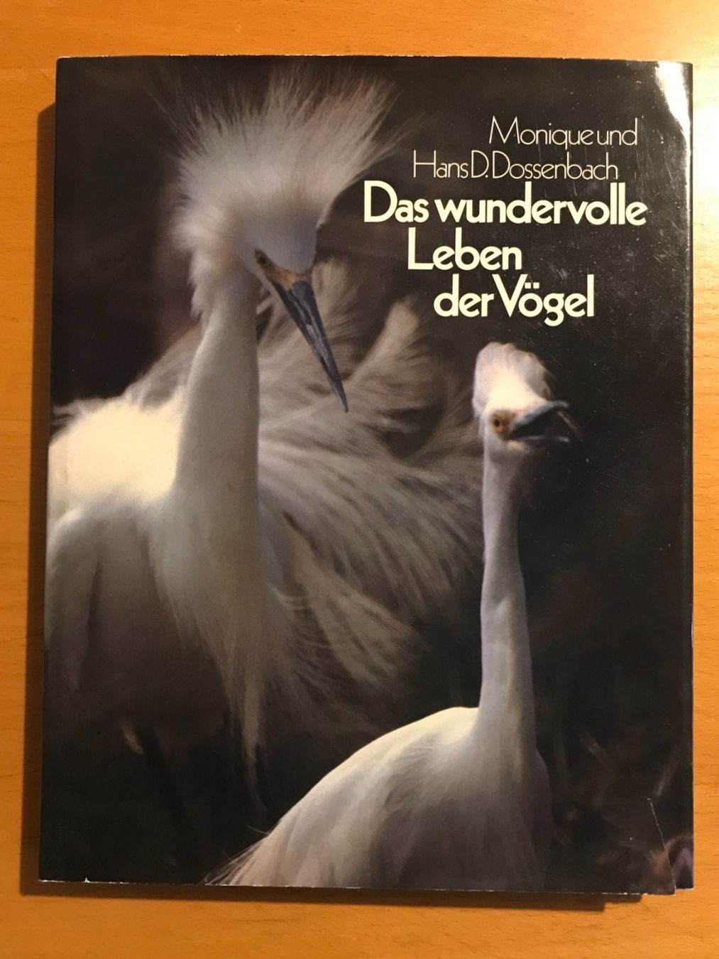 Libri: Das wundervolle Leben der Vögel – Usato da Luzern venduto da mey_s13