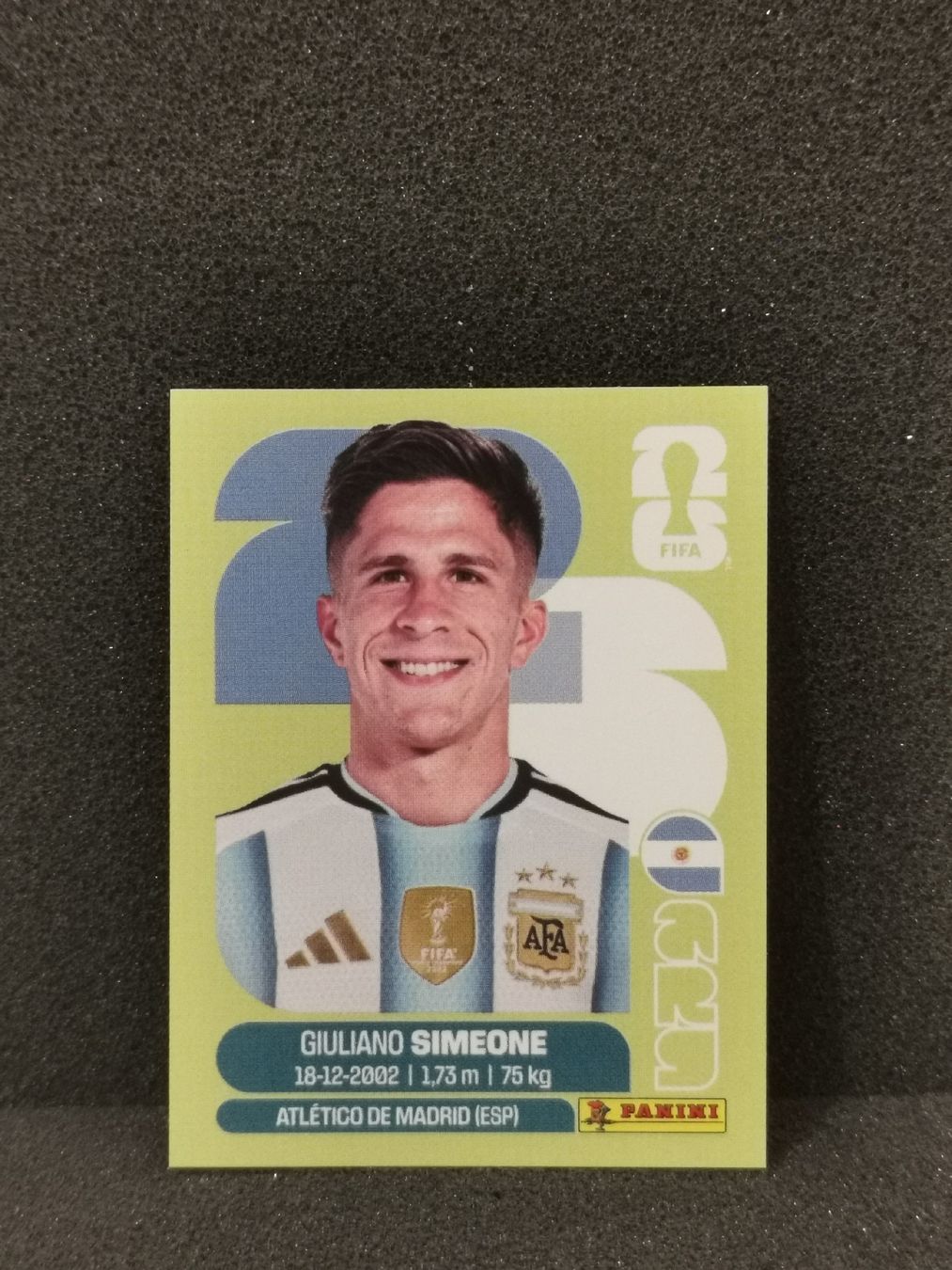 Panini Carte collezionabili: Panini Wm 2026 Sticker :Giuliano Simone Arg 20 – Usato da Einsiedeln venduto da sza_588x