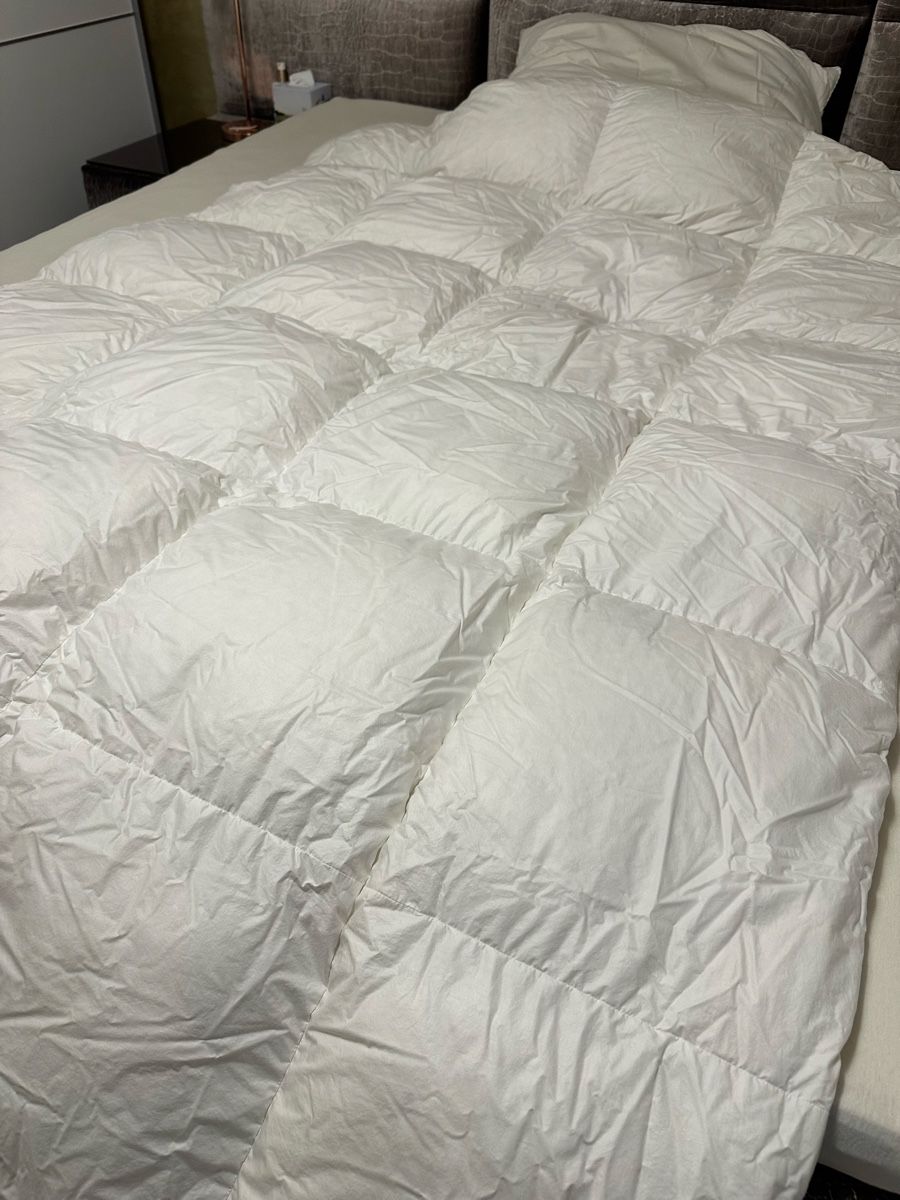 Coperte: Daunendecke und Kissen – Usato da Frümsen venduto da Swissline90 1
