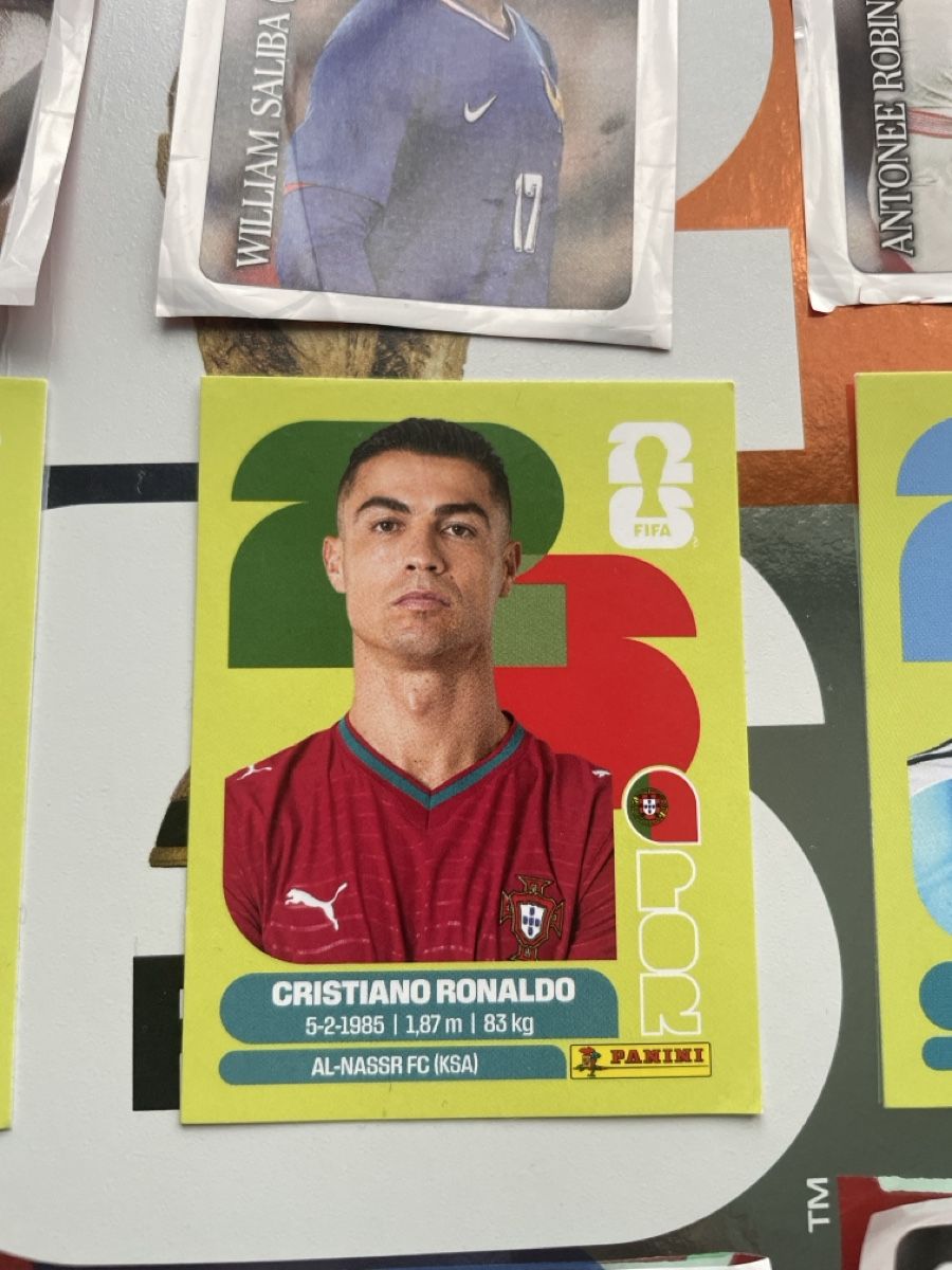 Panini Carte collezionabili: Panini – Usato da Wetzikon ZH venduto da Rasalingam 1