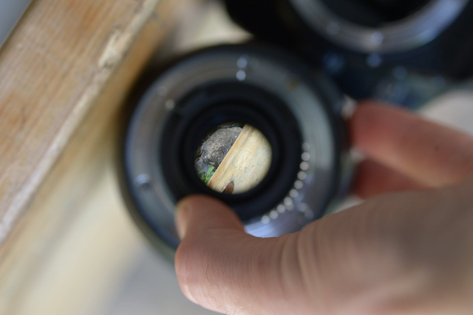 Nikon Kamera: Nikon D3400 + 18-70mm – Gebraucht aus Lichtensteig von dan_rj7z 8