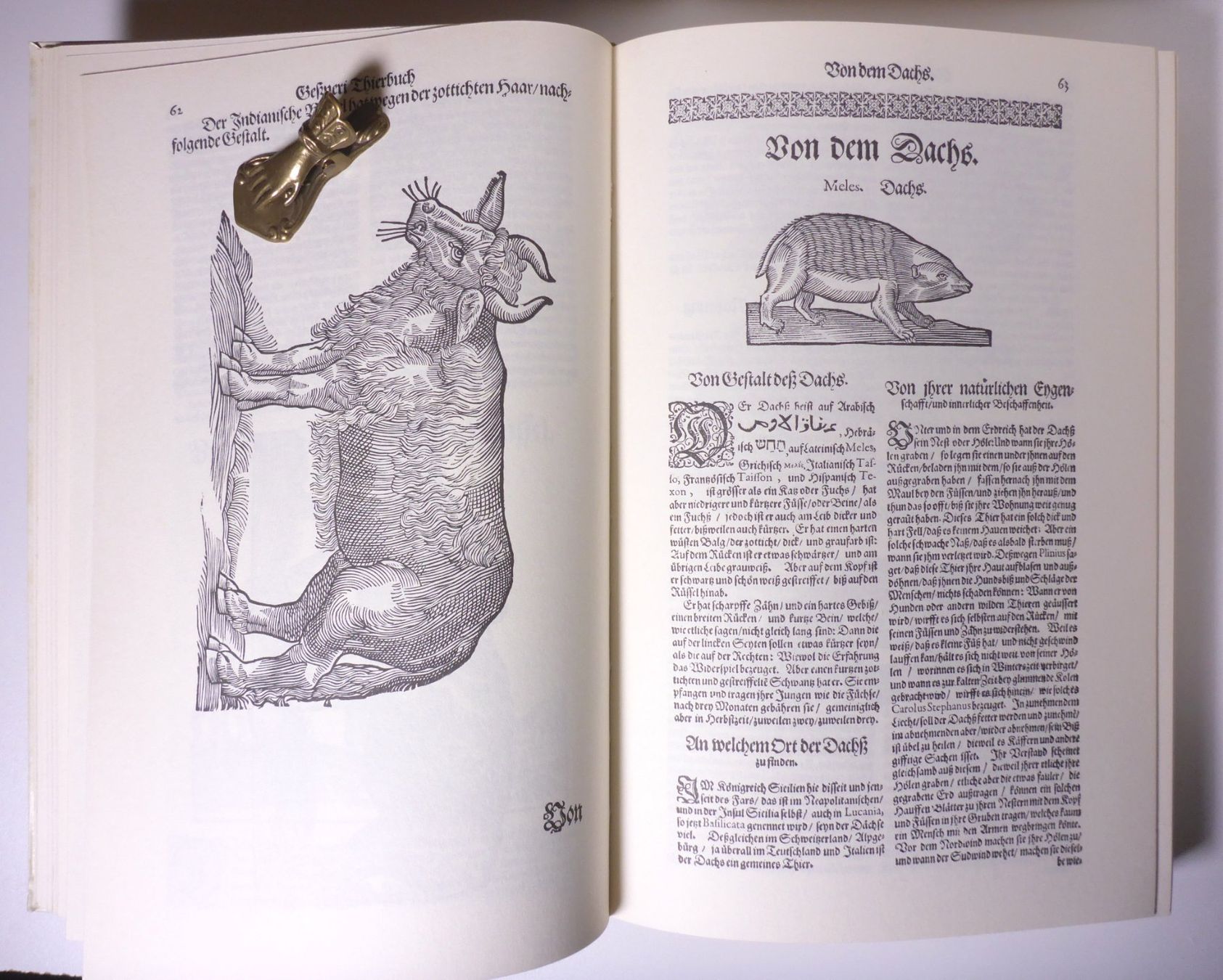 Bücher: Conrad Gesner: Thierbuch – Gebraucht aus Erschwil von taglang 3