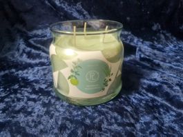 PartyLite - 3-Docht-Glas Seagrass Eucalyptus