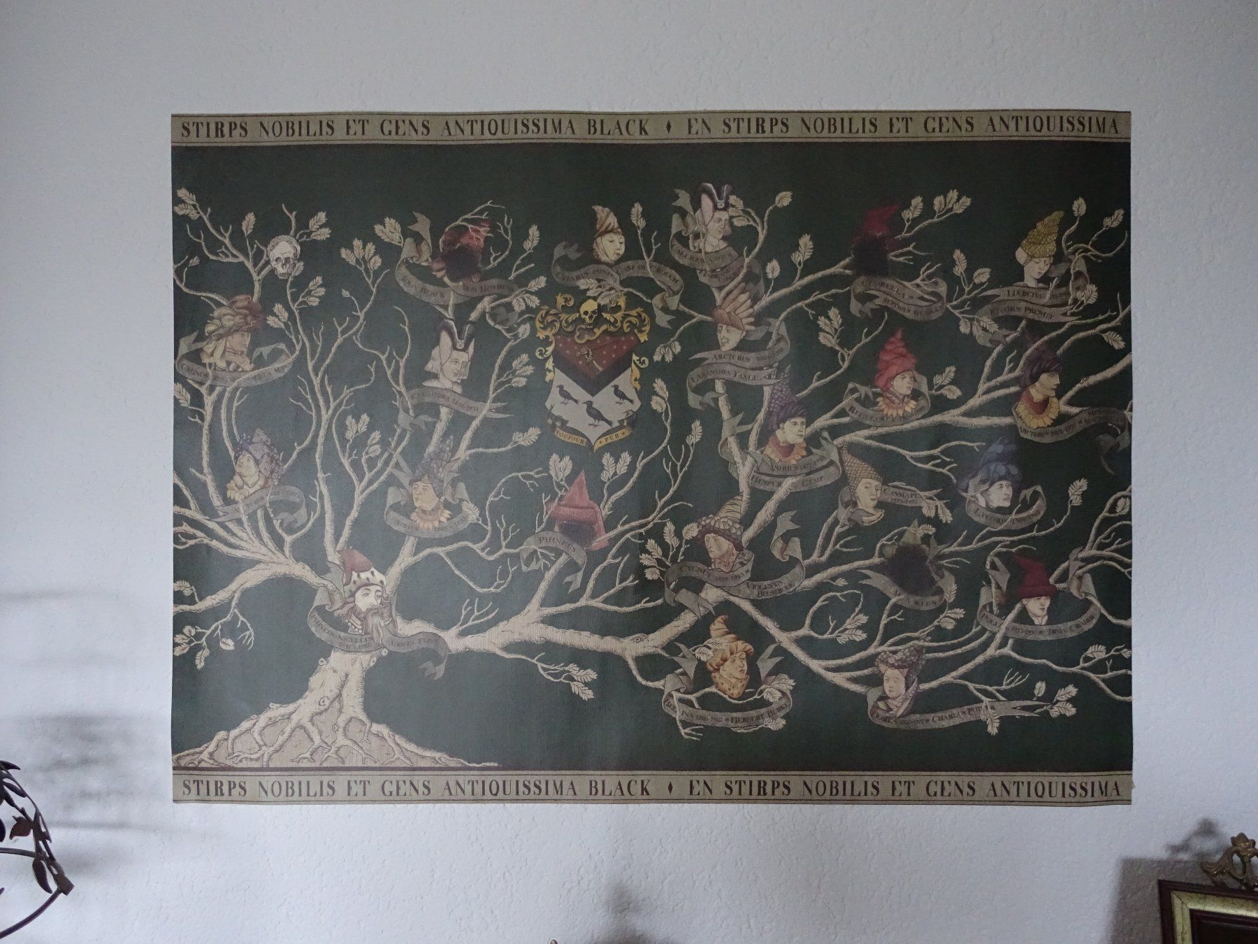 Foto & Immagini: Harry Potter Black Family Poster – Usato da Glattfelden venduto da tdlubek