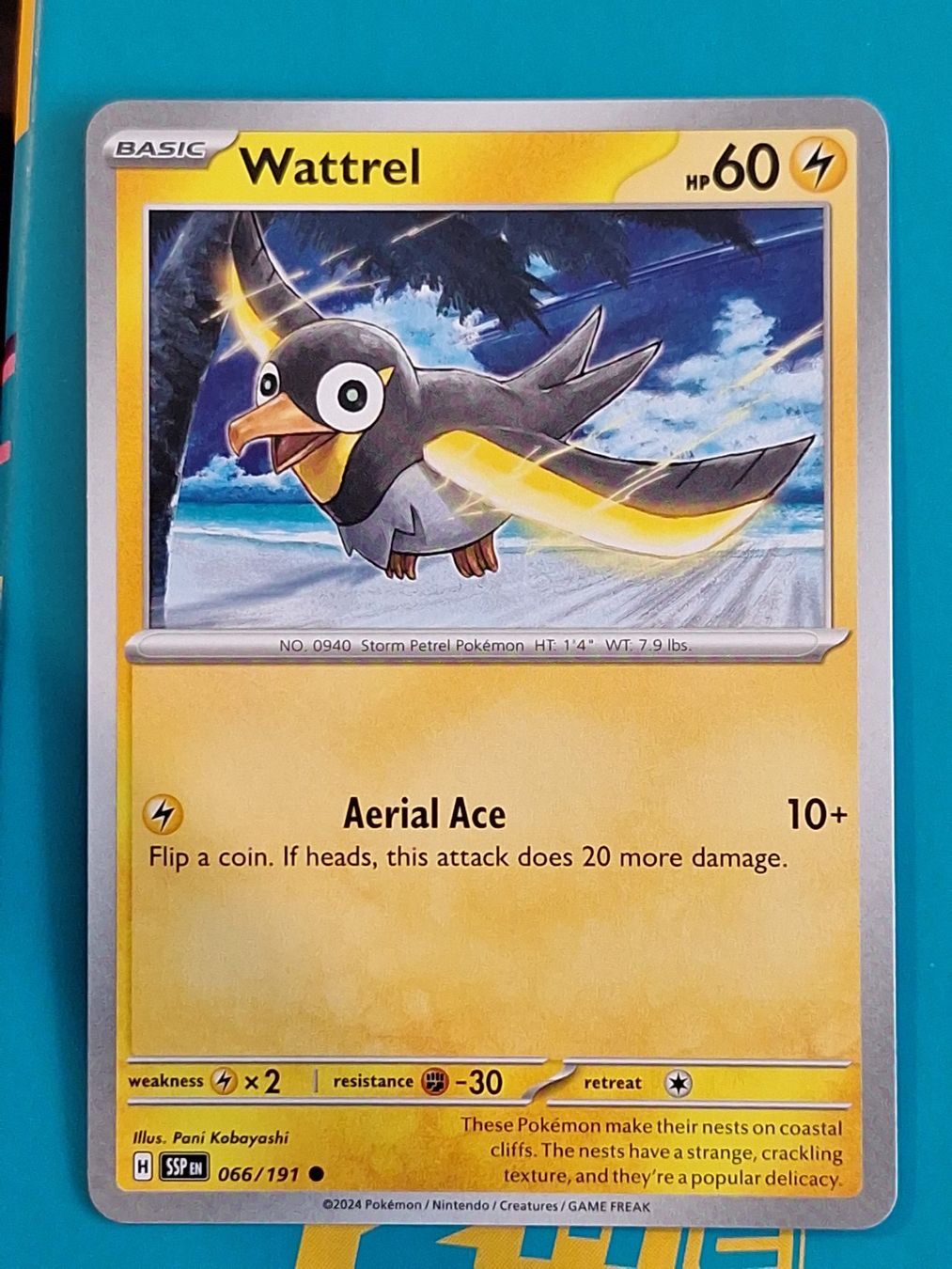 Pokémon Carte collezionabili: Wattrel - Pokemon Surging Sparks – Usato da Altstätten SG venduto da GGsGameshop