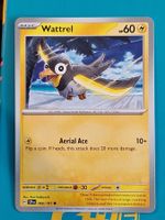 Wattrel - Pokemon Surging Sparks