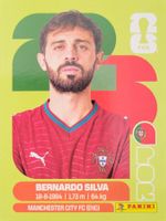 Panini FIFA World Cup POR 9