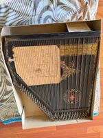 Konzert Zither 