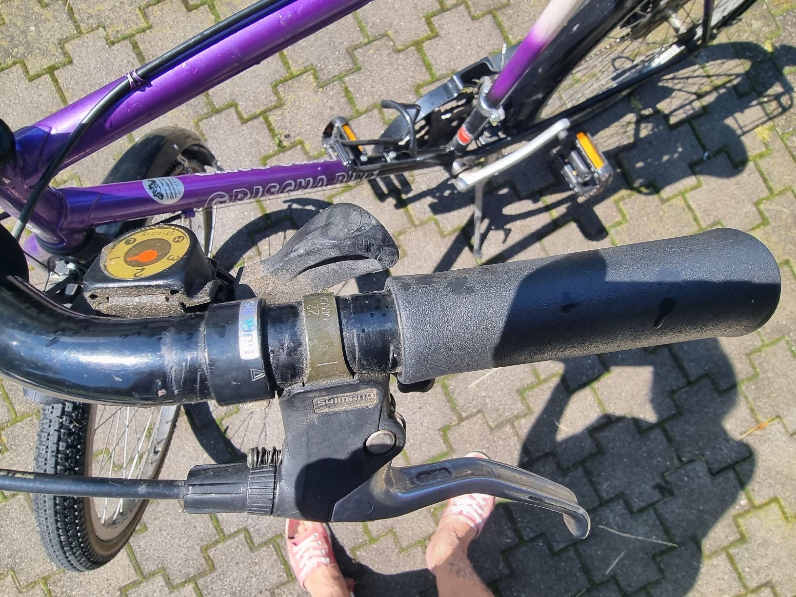 Shimano Velos: Bike Grischs – Gebraucht aus Berschis von treedosha01 3