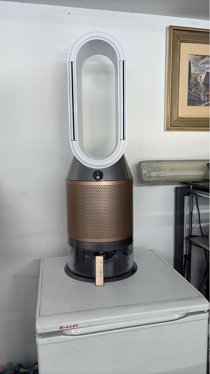 Dyson Purificatori d'aria: Dyson Pure Cool Link Lufterfrischer mit Fernbedienung – Usato da Hölstein venduto da dar_bt9s