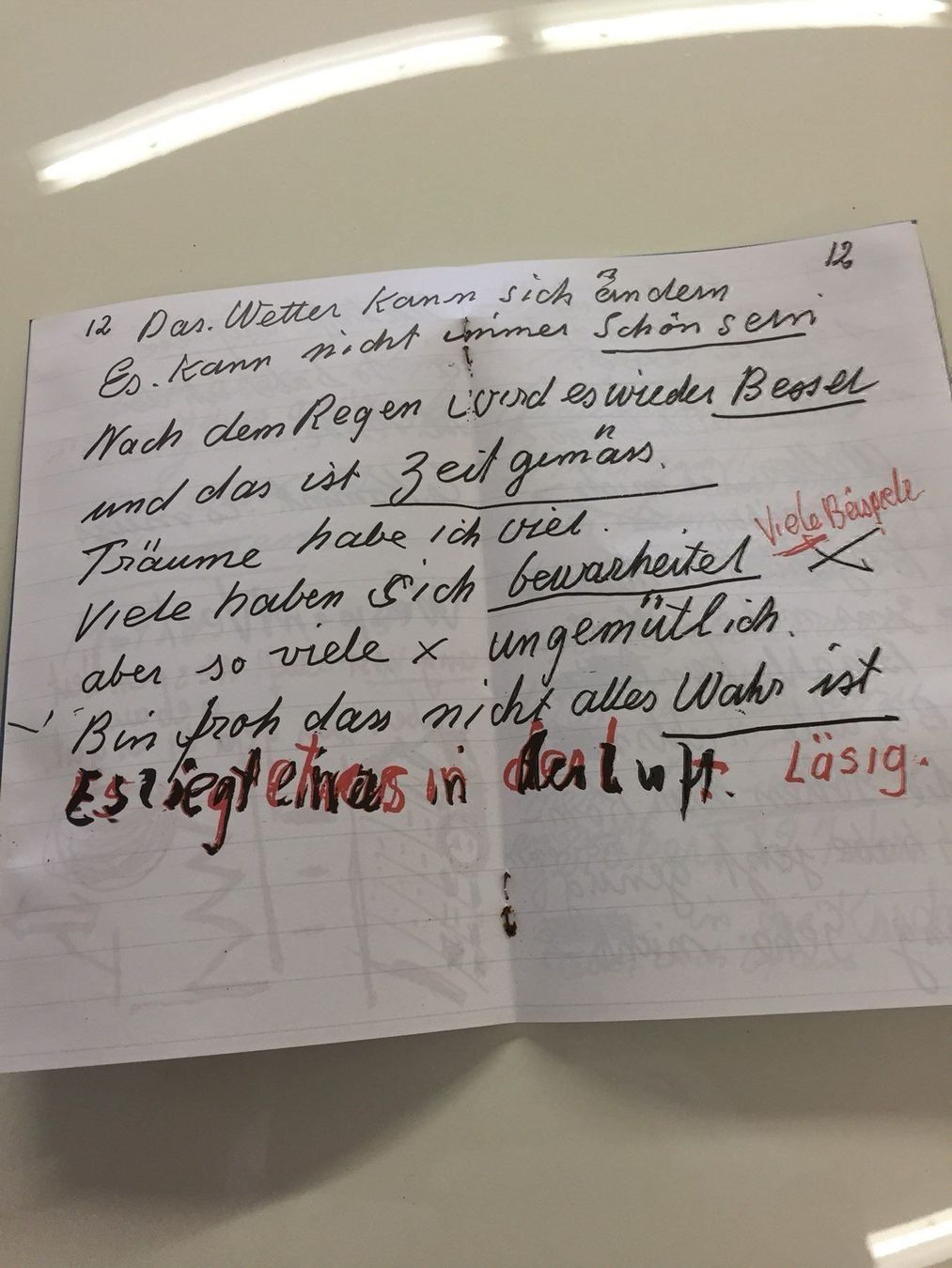 Bücher: Hans Krüsi Tagebüchlein Faksimile – Gebraucht aus Frasnacht von Kulturpalast 3
