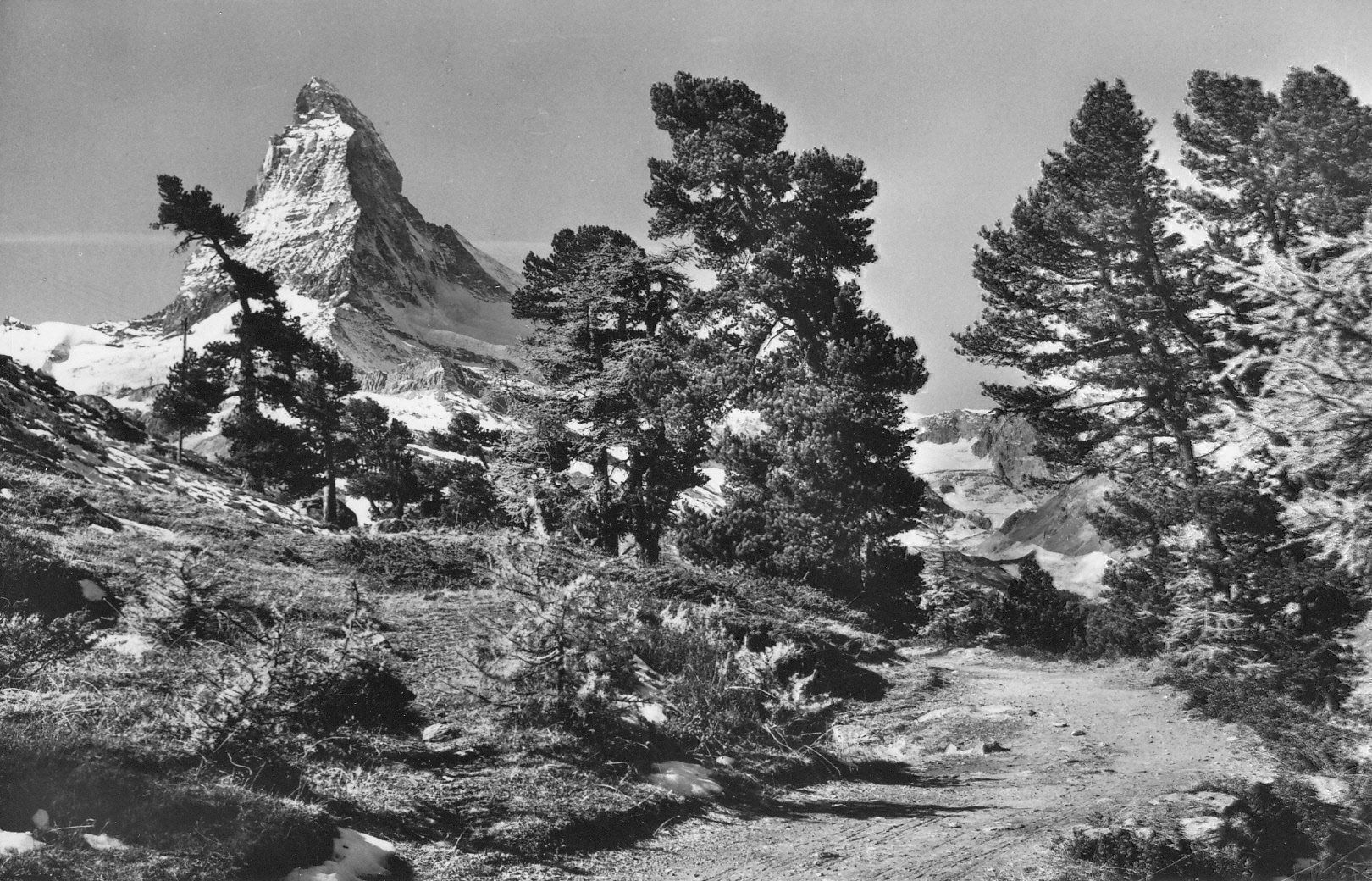 Cartoline postali: Riffelalp, ca. 1955 – Usato da Bürglen TG venduto da StampGraf
