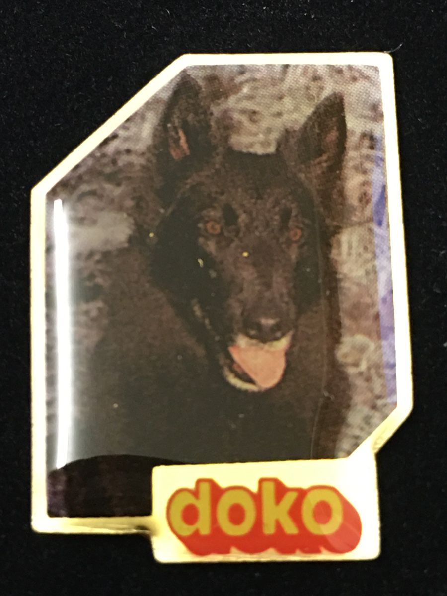 Plaketten & Abzeichen: PIN - Sammlung „doko“ – Gebraucht aus Wangen b. Olten von Finolino28 2