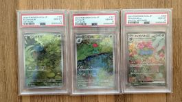 Pokémon Karten Set PSA 10 Japanisch