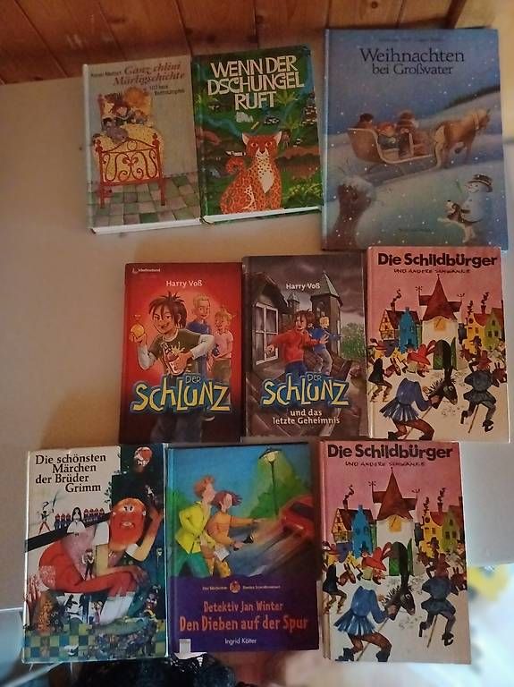Libri: Diverse Bücher  – Usato da Ballwil venduto da Karinjuon 2