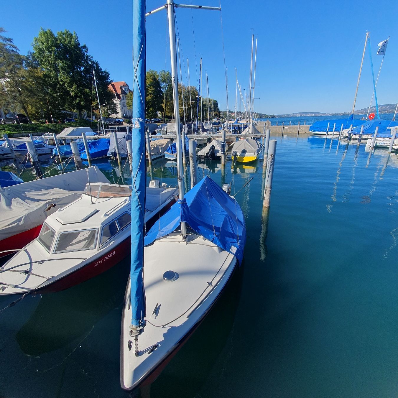 Boote: Segelboot mit Aussenbordmotor – Gebraucht aus Thalwil von aka_dn25 3